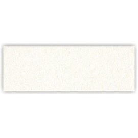 Neenah ENVIRONMENT - 8.5 x 11 Cardstock Paper - 80lb COVER - Moonrock - 250 PK