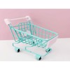 Lash Studio - Mini Shopping Trolley Cart