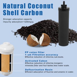 Water Filter Replacement Compatible with Berkey® BB9-2® Black Filters & FP-2® Fluoride Filters Gravity Water Filter System by NSF/ANSI 42 Certified, 2 Packs Combo water filtration replacement