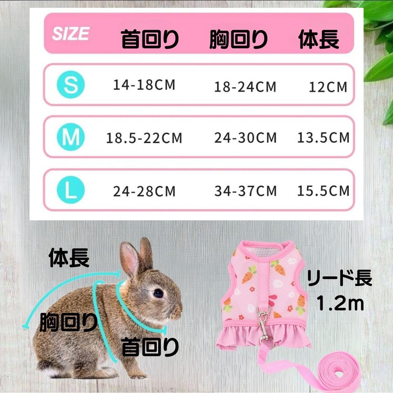 MMmall Rabbit Harness Lead, Rabbit Supplies, Rabbit Harness, Rabbit, Clothing,