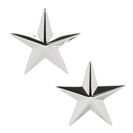 Air Force / Army Brigadier General Collar Device Rank Insignia Pair