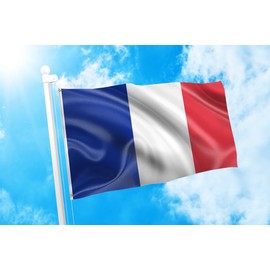 DMSE France French National Flag 2X3 Ft Foot 100% Polyester 100D Flag UV Resistant