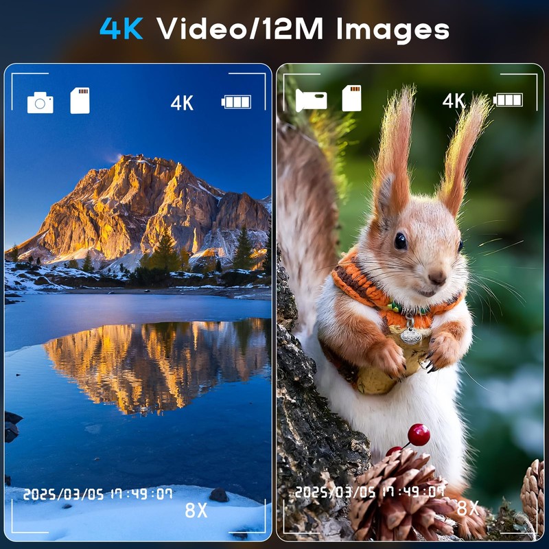 Night Vision Binoculars with 2.4" IPS Screen, 12X Zoom Digital