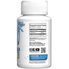 Giant Sports Performance Edge G-500 Glutamina - L- Glutamina -