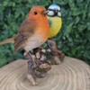 Vivid Arts - British Birds Robin & Blue Tit Home