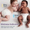 Trial Pack Baby Diapers - DRYPER Size 5 Diapers (28-39