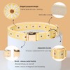 Adjustable Jacquard Webbing in Yellow Daisy Pattern Dog Collar with