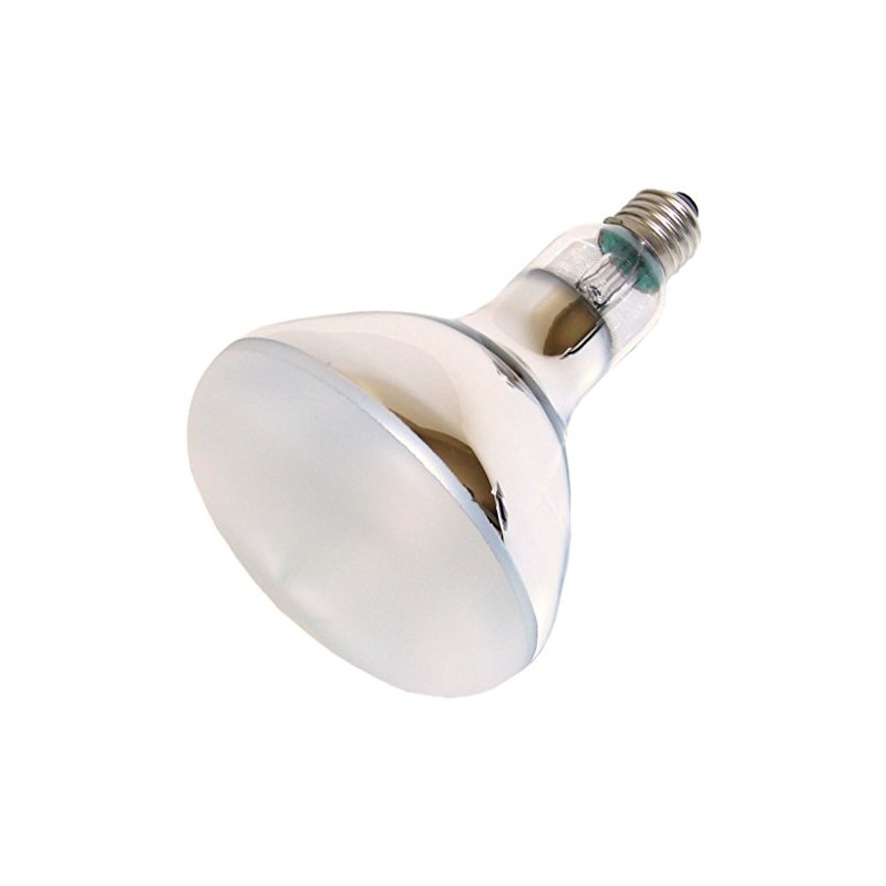 OSRAM ULTRA-VITALUX 300W inkl. Gutschein über EUR 2,50