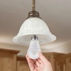 TCP 9W LED Light Bulbs (60 Watt Equivalent), A19 -