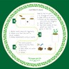 Cactus Luxury Grow Kit, The Plant Gift Co. Percy Pricklebum
