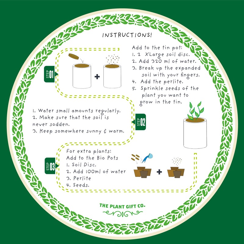 Cactus Luxury Grow Kit, The Plant Gift Co. Percy Pricklebum