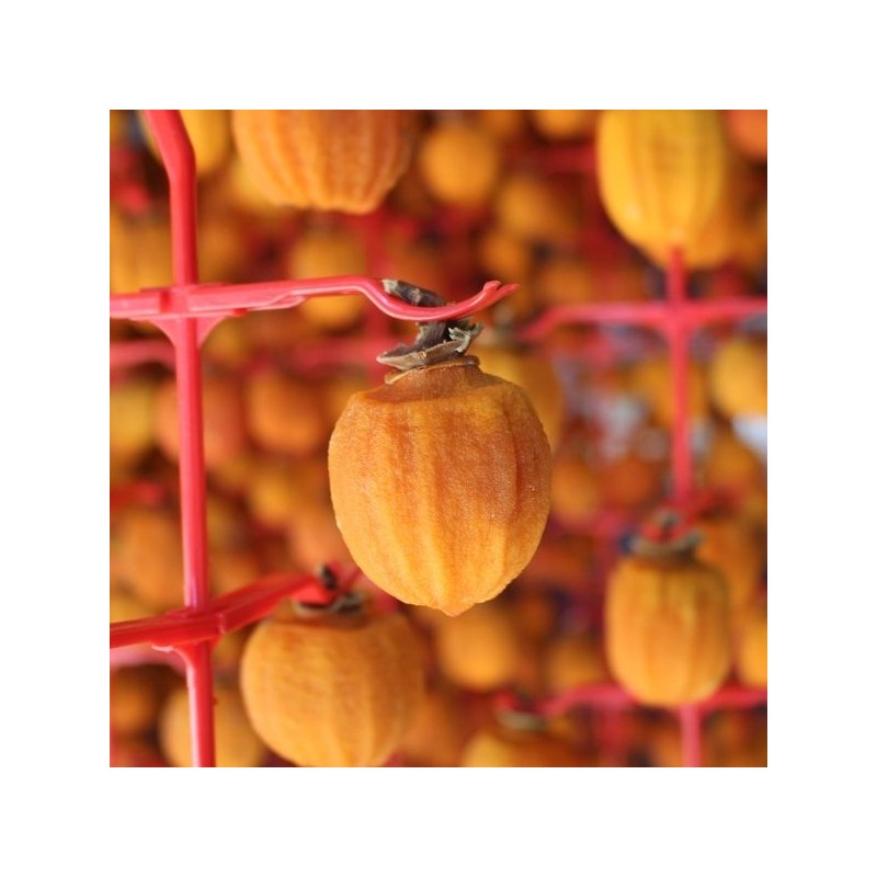 프리미엄 상주곶감 반건시 실속형 20구 선물세트 Premium Sangju Dried Persimmons