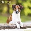 Fox Terrier Calendar 2025 | Square Dog Breed Wall Calendar