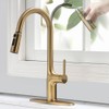 Brushed Gold Kitchen Faucet, Single Handle Gold Kitchen Sink Faucet
