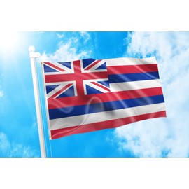 DMSE Hawaii State Hawaiian Ka Hae Hawaiʻi Flag 2X3 Ft Foot 100% Polyester 100D Flag UV Resistant (2' X 3' Ft Foot)