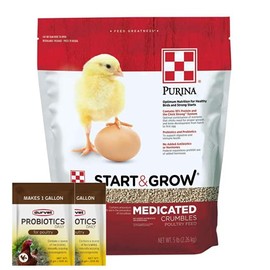 Probiotics Daily Single Packs