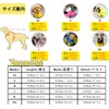Dog Raincoat, Poncho, Rainy Season Protection, Includes Transparent Hat, Easy