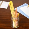 Learning Advantage Folding Meter Stick | Measure in Inches, Centimeters,