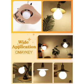 OMAYKEY 15W Dimmable Large LED Globe Bulb 100W Equivalent 1000 Lumens, 3000K Soft White E26 Medium Base, Vintage Edison G125 Large Globe Edison Style LED Filament Light Bulb, Deep Dimming Version