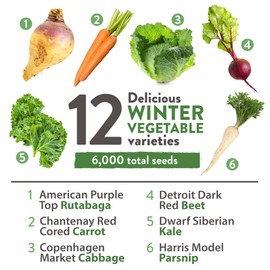 HOME GROWN 12 Winter Vegetable Seeds 𝗡𝗢𝗡-𝗚𝗠𝗢 Heirloom,Fall & Winter Vegetable Seeds for Planting Home Garden: Bean, Beet, Broccoli, Cabbage, Carrot, Cauliflower, Kale,Parsnip,Squash,Chard & More