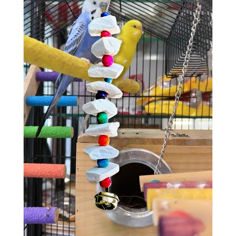 2 Pack Bird Toys with Millet Cuttlebone, Parakeet Toys, Bird