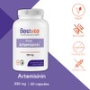 BESTVITE Artemisinin 200mg (120 Vegetarian Capsules) (2-Pack) - No Stearates