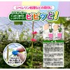Seam VVT-PI05 Jibee Markers Vivit! Pink, 500 Pieces