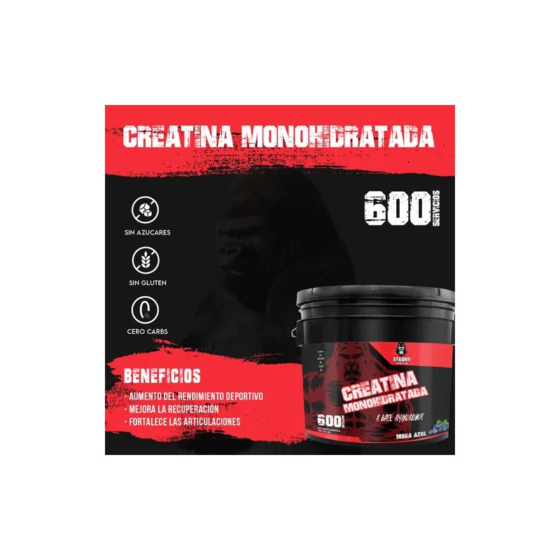 Creatina Monohidratada Strong Protein 3kg 600 Servicios