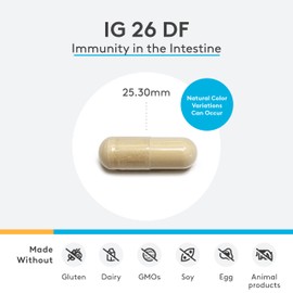 XYMOGEN IG 26 - Immunoglobulin Supplement with IgY Max - Dairy-Free Colostrum Alternative Derived from Hyperimmune Egg - Cytokine Balance & Immune Support - Formerly IG 26 DF (120 Capsules)