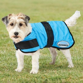 WeatherBeeta Therapy-Tec Cooling Dog Coat, Blue, 35cm