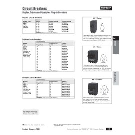 MURRAY MP1515 Two 15-Amp Single Pole 120-Volt Circuit Breaker