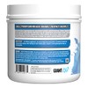 Giant Sports Performance Edge Series BCAA 60 Serving (Blue Raspberry,