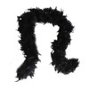 Cynthia's Feathers 80G Turkey Chandelle Feather Boas Over, Black, Size