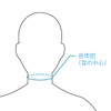 (Official) Bonbone Neck Supporter, Cool Color, Cervical Vertebrae, Sprains, Sprains,
