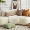 MANDIOO Pack of 2 Chenille Throw Pillow Covers Elegant Design