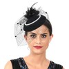 AiduduPet 50S Fascinator Hat for Women Black,Kentucky Derby Fascinators Funeral