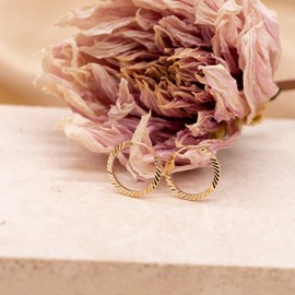 Carissima Gold Earrings Ladies 9ct (375) Yellow Gold Diamond Cut Stripe Endless Hoop, Yellow Gold, yellow gold