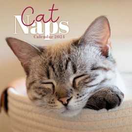 2024 Cat Naps Mini Wall Calendar