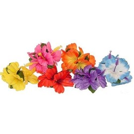 12 Pc Package - Hibiscus Hair Clips - Luau Party Wear!