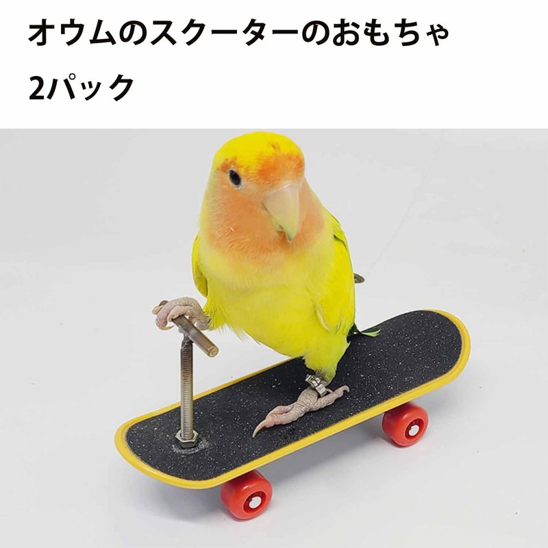 Roczential Parakeet Toy, Bird Toy, Skateboard Toy, Pet Supplies, Parrot