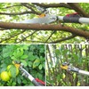 Mesoga 4.4-7.2 Foot Tree Pruner 2 Sections Extendable 4 Nodes