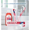 Lacalut Active Toothpaste Pack of 4 (4 x 100 ml)