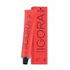 Schwarzkopf IGORA ROYAL Permanent Color Creme (8-00 Light Blonde Natural