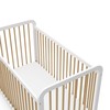 Storkcraft Pasadena 3-in-1 Convertible Crib (White with Driftwood) – GREENGUARD
