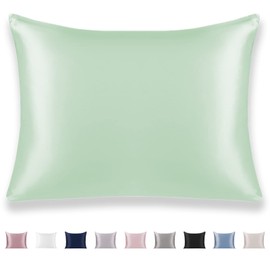 Texbee Silk Pillow Cases Both Sides Natural Mulberry Silk Pillowcase with Hidden Zipper Soft Breathable Smooth Anti Acne Pillow Case Standard Size(20"x26",Mint Green)