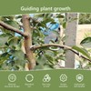 Pack of 30 Branch Separators for Fruit Trees, M Shaped