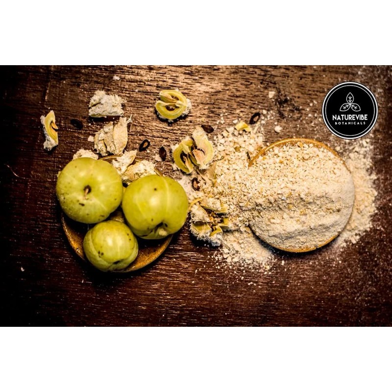 Naturevibe Botanicals Organic Amla Berry Powder, 8 ounce by Naturevibe