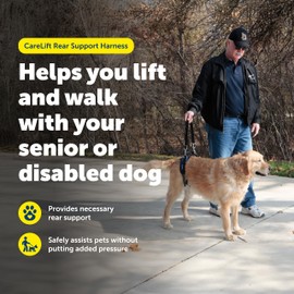PetSafe CareLift Rear Support Harness - Lifting Aid with Handle and Shoulder Strap - Fits Waist Measuring 27-37 inches, Dog Weight 70lb-130lb, Large, Black