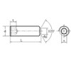 Set of 20 Hexagon Socket Set Screws M6 Screws Potato