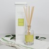 K.Hall Designs Lemon Sage Boxed Diffuser Kit, Citrus Scent with
